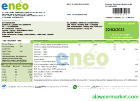 ENEO electricity utility business bill,  SCR